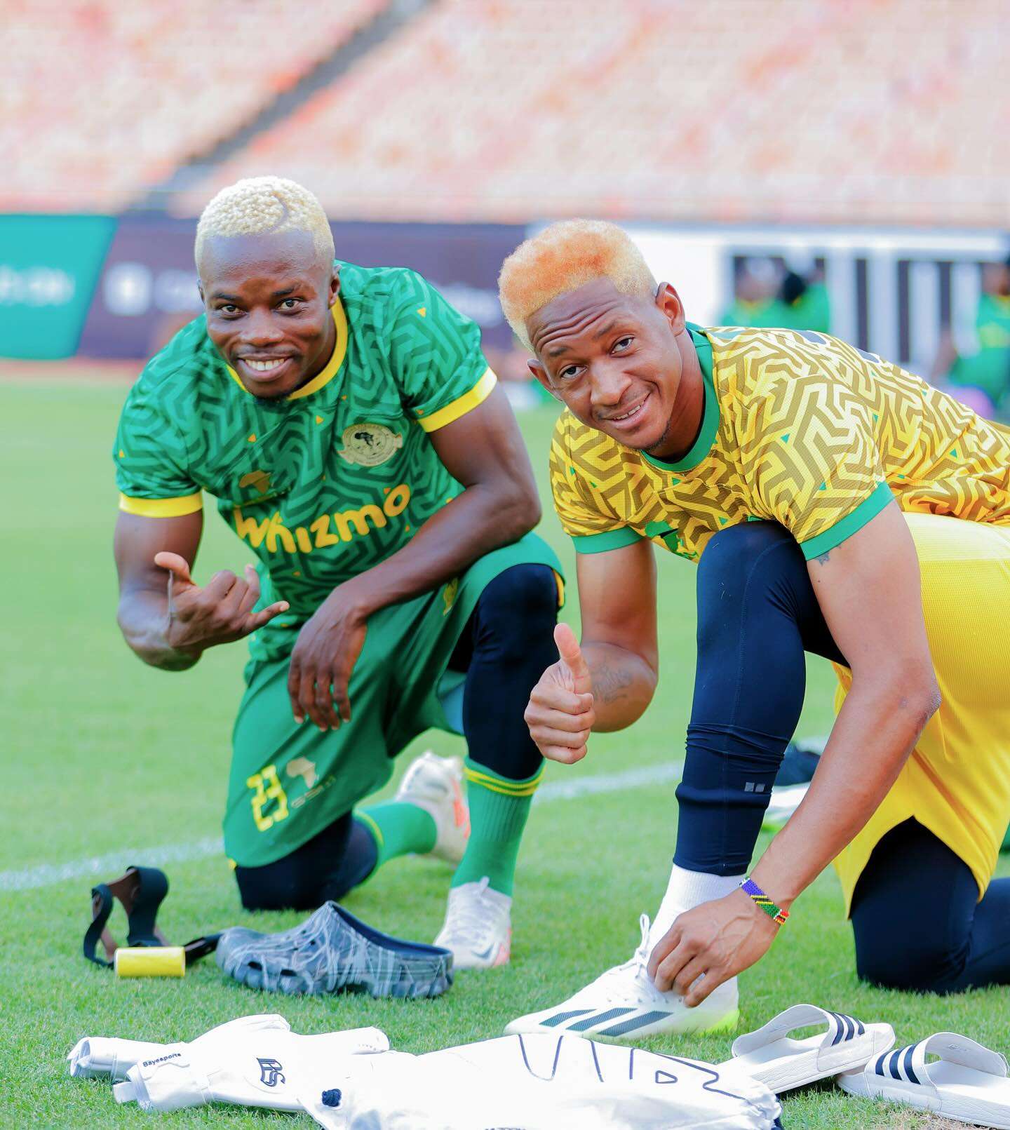 yangasc------------------------------------------