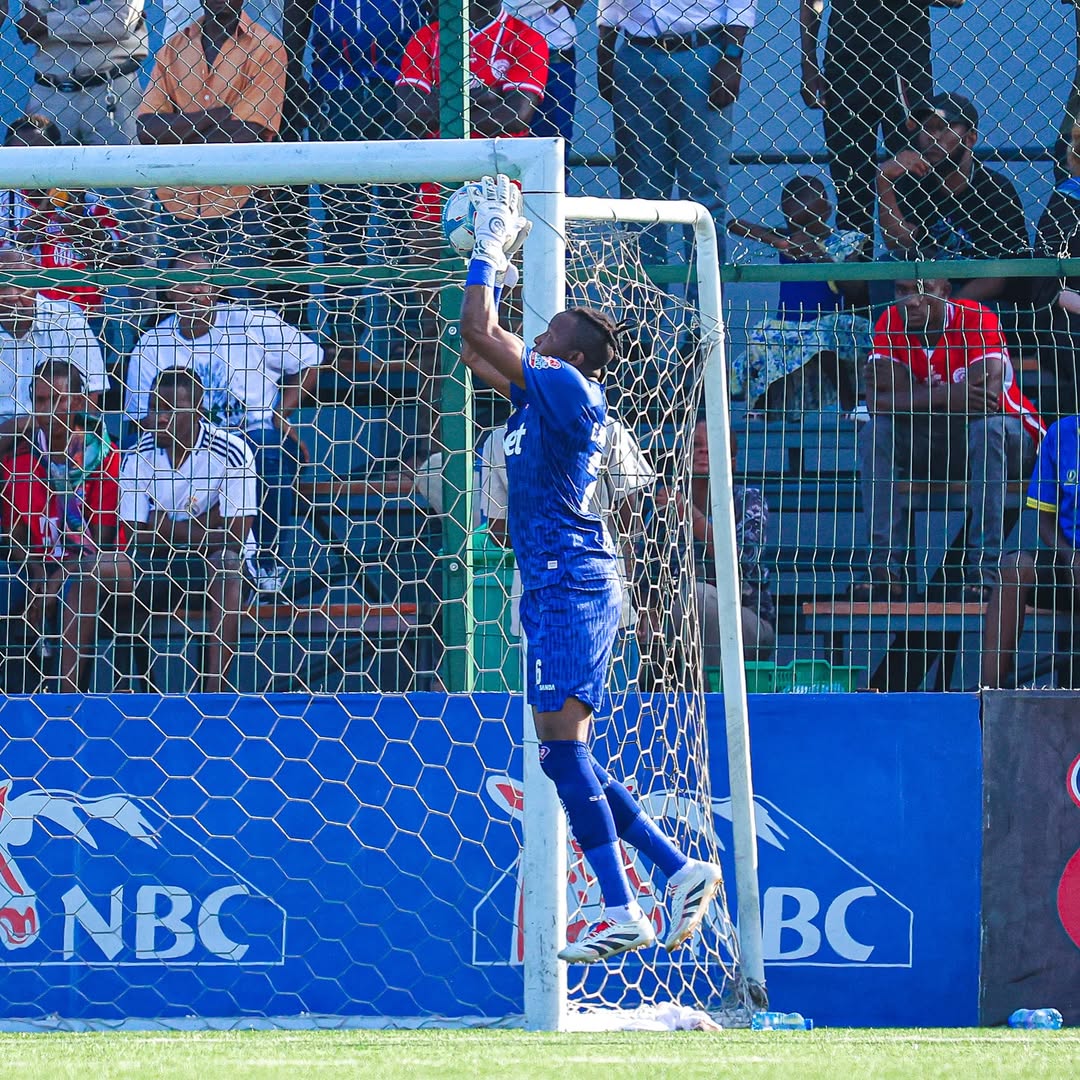 ------------------------------------------------n SIMBA