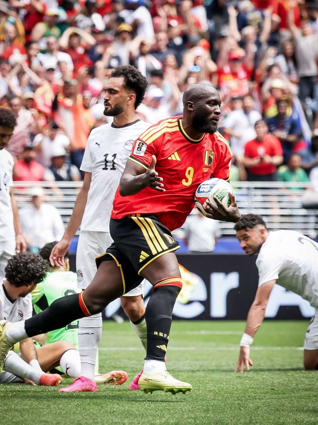 New Zealand vs Egypt