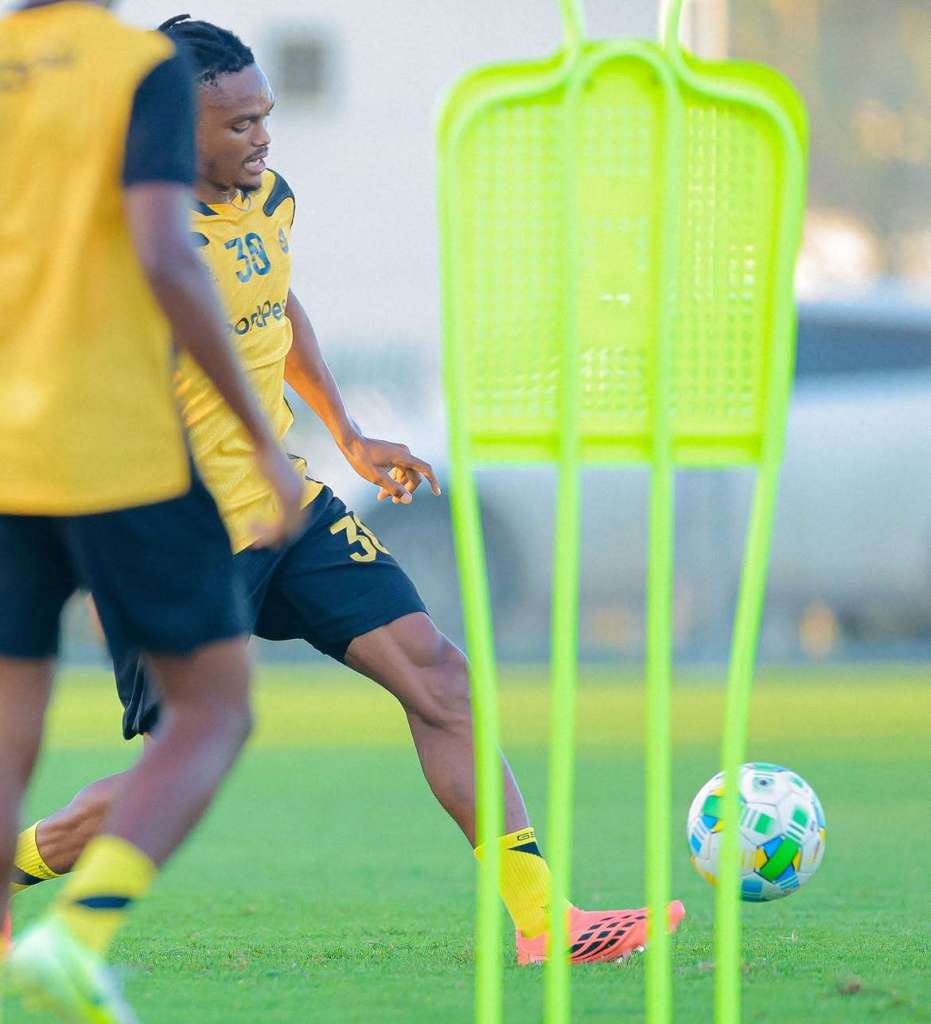 Sele-Yanga
